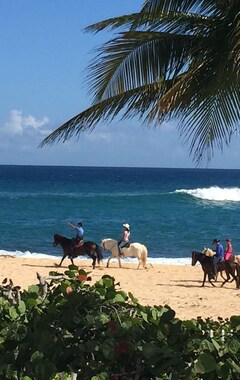 Hele huset/lejligheden Beachfront Paradise With Breathtaking Ocean Views!private Access To Beach. Wifi (Manati, Puerto Rico)