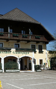 Hotel Seegasthof Gamsjaga (Abersee, Austria)