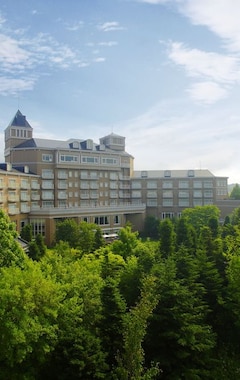 Sendai Royal Park Hotel (Sendai, Japón)