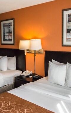Hotel Comfort Suites Panama City Beach (Panama City Beach, USA)