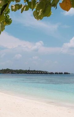 Hotelli Paguro Seaview (Mathiveri, Malediivit)