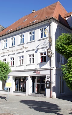 Hotel Goldene Traube (Guenzburg, Tyskland)