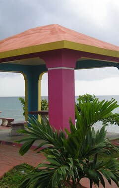 Hotel The Pineapple Inn (Rincón, Puerto Rico)