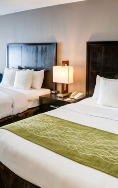 Hotel Best Western Inn & Suites San Diego Zoo -SeaWorld Area (San Diego, USA)