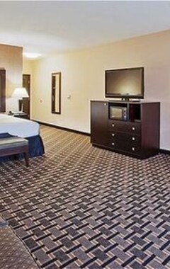 Holiday Inn Arlington Northeast, An Ihg Hotel (Arlington, EE. UU.)