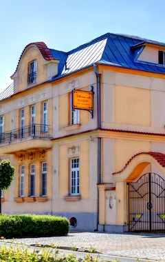 Pensión Penzion Tillerova vila (Lázně Bohdaneč, República Checa)