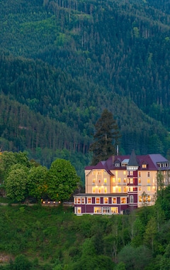 Hotel Schloss Hornberg (Hornberg, Alemania)