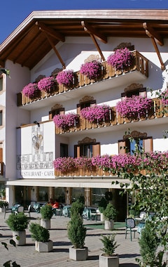 Hotelli Hotel Tschurtschenthaler (Toblach, Italia)