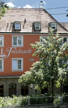Hotel Fischzucht - By Homekeepers (Würzburg, Tyskland)