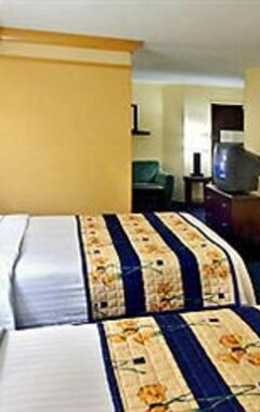 Hotel Springhill Suites St Petersburg Clearwater (Clearwater, EE. UU.)