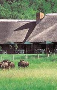 Hotelli Bakubung Villas (Rustenburg, Etelä-Afrikka)