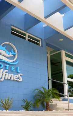 Hotelli Hotel Delfines (Veracruz Llave, Meksiko)