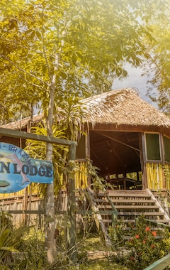 Hotel Dolphin Lodge (Careiro, Brasil)