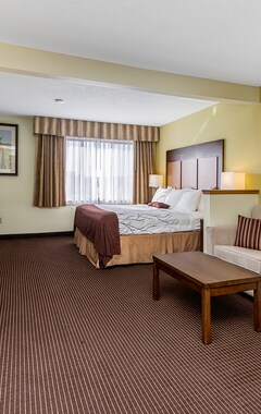Hotel Holland Inn & Suites (Holanda, EE. UU.)