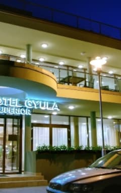 Hotelli Wellness Hotel Gyula (Gyula, Unkari)