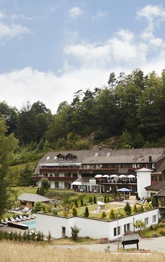 Hotelli Hotel Käppelehof (Lauterbach, Saksa)