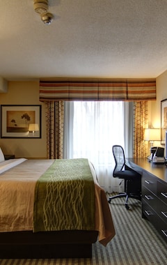 Hotel Comfort Inn Chatham (Chatham, Canadá)