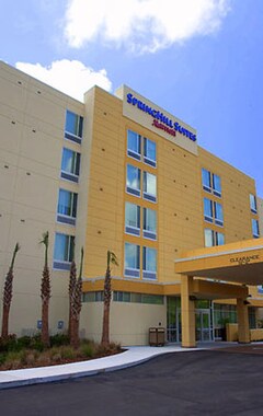 Hotel Springhill Suites Tampa North/Tampa Palms (Tampa, EE. UU.)