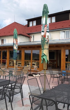 Hotel Pension Axiom (Frymburk, Tjekkiet)