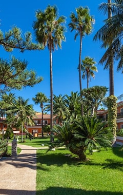 Lejlighedshotel Apartments Ambassador (Puerto de la Cruz, Spanien)