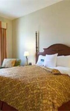 Hotel Homewood Suites By Hilton La Quinta (Palm Springs, EE. UU.)