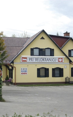 Hotel Pri Belokranjcu (Novo Mesto, Slovenien)