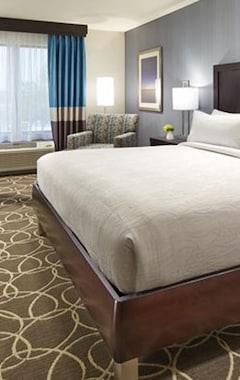 Hotelli Hilton Garden Inn Dallas At Hurst Conference Center (Hurst, Amerikan Yhdysvallat)