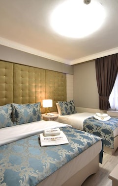 Hotelli Pelican House Hotel (Istanbul, Turkki)