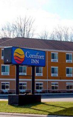 Hotel Quality Inn Near Interstate I94 (New Buffalo, USA)