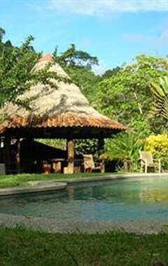 Hotelli Tiskita Jungle Lodge (Golfito, Costa Rica)