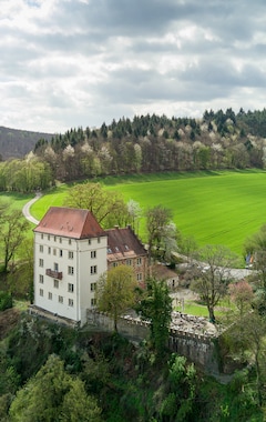 Hotelli Schloss Neuburg (Obrigheim, Saksa)
