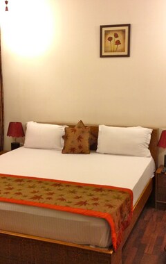 Skylink Suites Bed & Breakfast (Delhi, India)