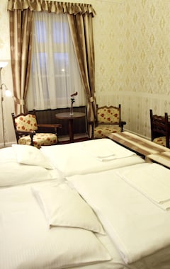 Hotel Borostyán Vendégház (Kaposvár, Hungría)