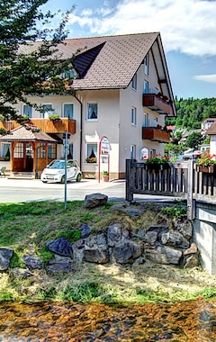 Hotel Schwoerer (Lenzkirch, Tyskland)