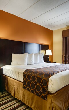 Hotel Best Western Mason Inn (Mason, USA)