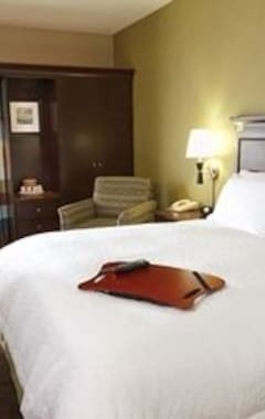 Hotel Hampton Inn Gulf Shores (Gulf Shores, EE. UU.)