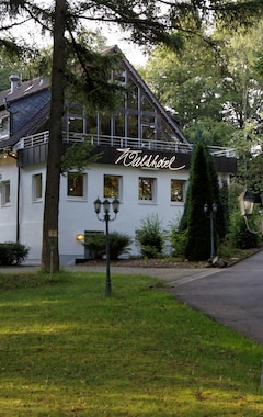 Hotelli Waldhotel Wilhelmshöhe (Freudenberg, Saksa)
