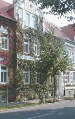 Hotelli Hotel Zum Goldenen Lowen (Merseburg, Saksa)