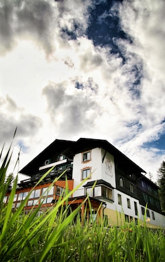 Hotelli Alpen Arnika (Bad Mitterndorf, Itävalta)