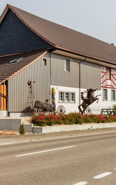Motel Steighof (Brütten, Suiza)