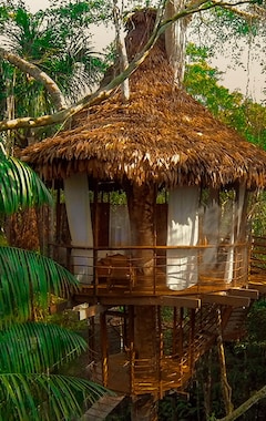 Bed & Breakfast Treehouse Lodge (Iquitos, Perú)