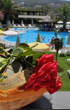 Hotelli Hotel Pegasus (Roda, Kreikka)