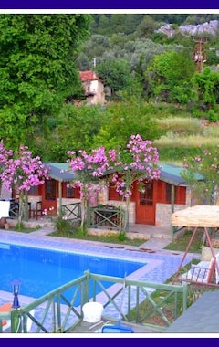 Hotel Montenegro Motel (Ölü Deniz, Tyrkiet)
