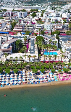 Sami Beach Hotel (Bodrum, Tyrkiet)