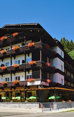 Natur- und Wanderhotel am Steinbachtal (Bad Kötzting, Tyskland)