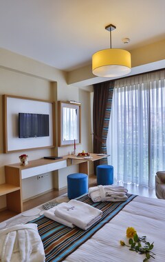 Hotelli Manesol Suites Golden Horn (Istanbul, Turkki)