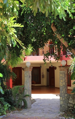 Hotel El Molino (Rio Verde, México)