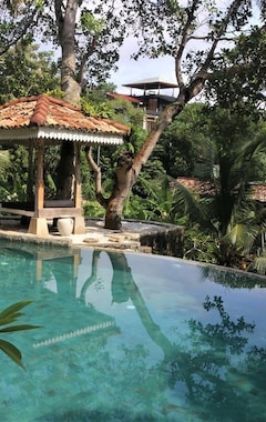 Koko talo/asunto The Spice House Mirissa (Mirissa, Sri Lanka)