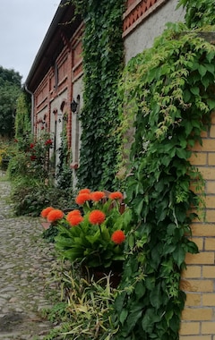 Gæstehus Spreewaldpension Beesk (Vetschau, Tyskland)