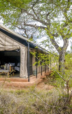 Camping Honeyguide Tented Safari Camps Home (Parque Nacional Kruger, Sudáfrica)